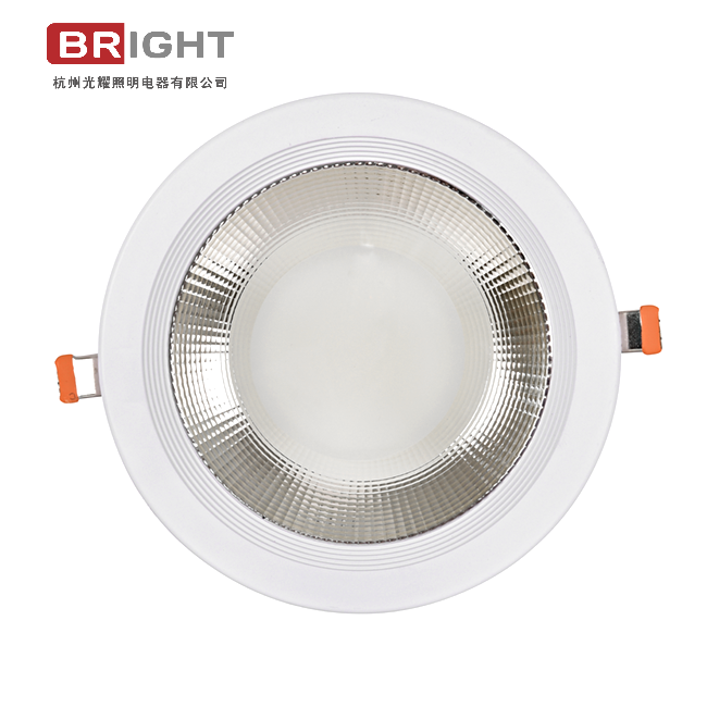 LUZ COB