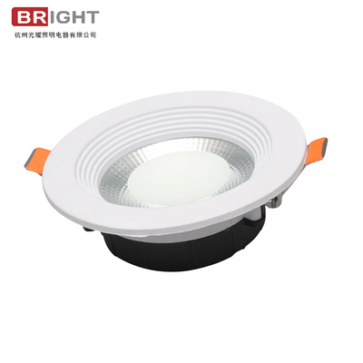 LUZ COB