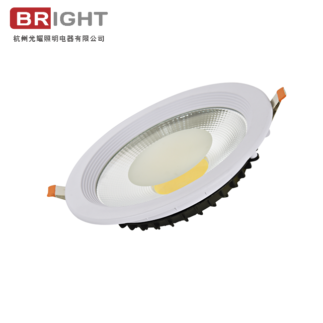 LUZ COB