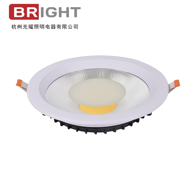 LUZ COB