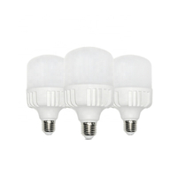 BOMBILLAS LED T